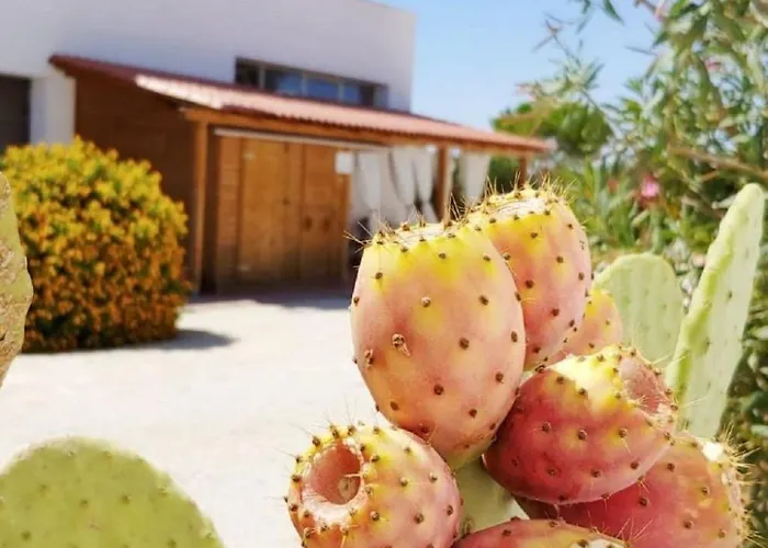 In Mit Gemeinschaftlichem Pool- Grill Und Garten By Interhome Lejlighed Marsala